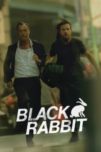 دانلود سریال خرگوش سیاه Black Rabbit دوبله فارسی